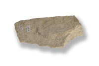 M 02637
<br/>
<br/>
<em></em>